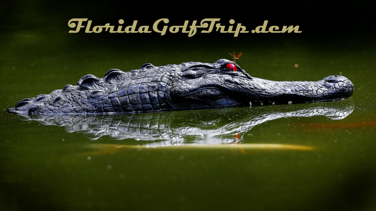 Florida Golf Trip